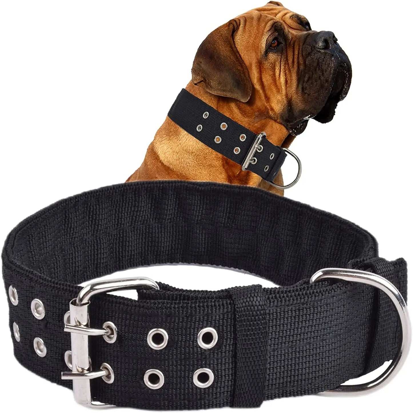 Collier large noir pour grand chien présenté avec un chien portant le modèle sur fond blanc.