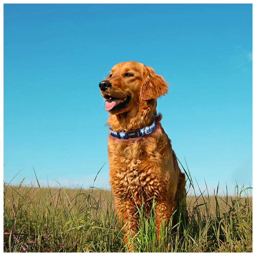Un collier en nylon pour chien artistique avec son motif montagnes ensoleillées qui saura relever la beauté de votre compagnon lors des balades