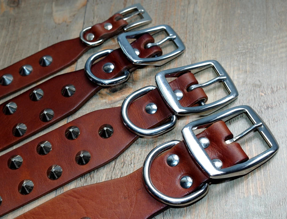 Collier clouté pour chien en cuir avec multiples petits clous métalliques