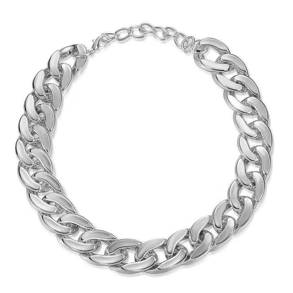 Collier chaîne argenté pour chien présenté à plat sur fond clair.