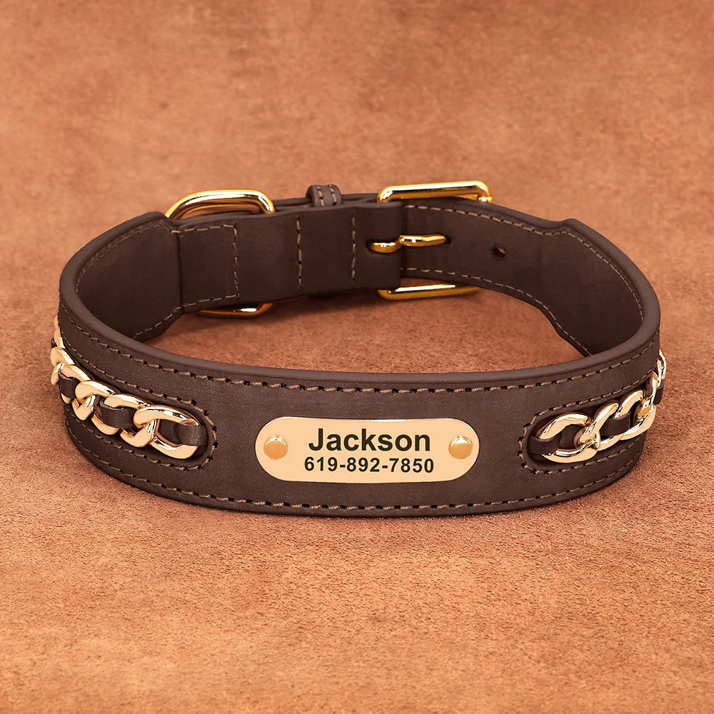 Collier large pour chien en cuir marron avec plaque d’identification gravée et chaîne dorée.