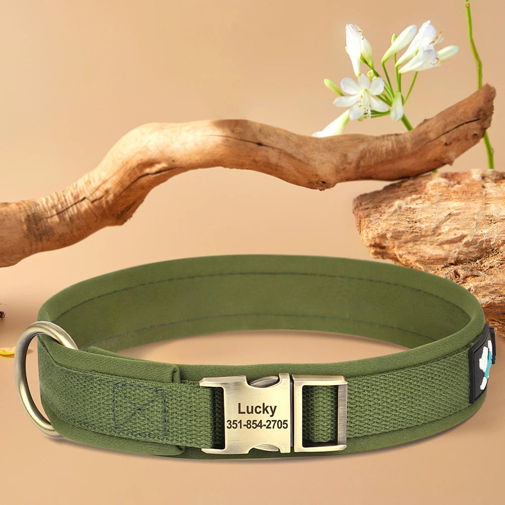 Vue produit du collier rembourré pour chien sur fond beige avec éléments décoratifs.