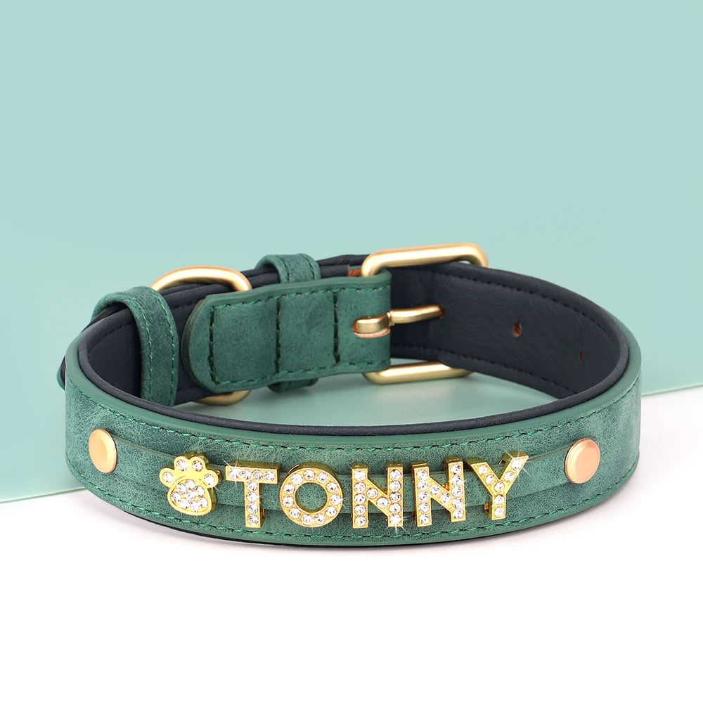 Collier personnalisé pour chien vert avec prénom Tonny sur fond vert clair.