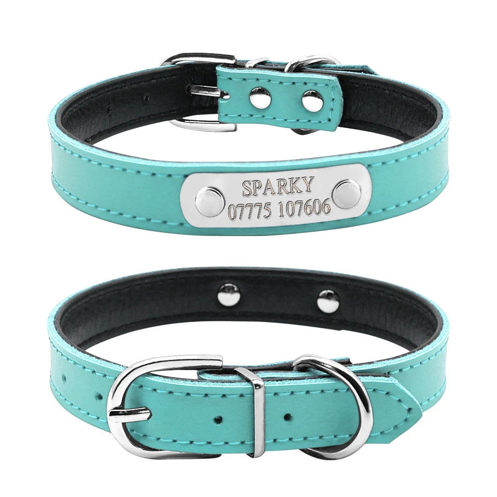 Vue avant et arrière d’un collier turquoise pour chiot avec plaque gravée sur fond blanc.