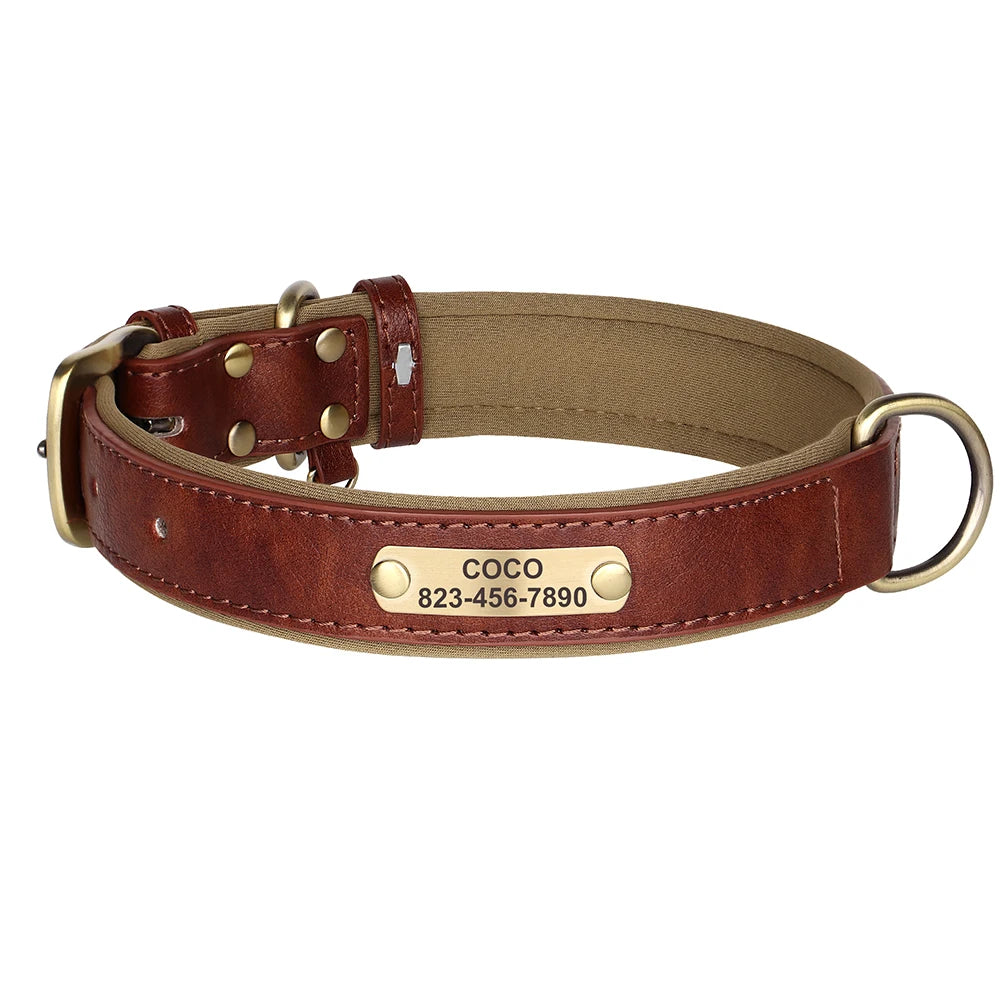 Collier en cuir fin marron pour chien avec plaque gravée dorée et doublure beige sur fond blanc.