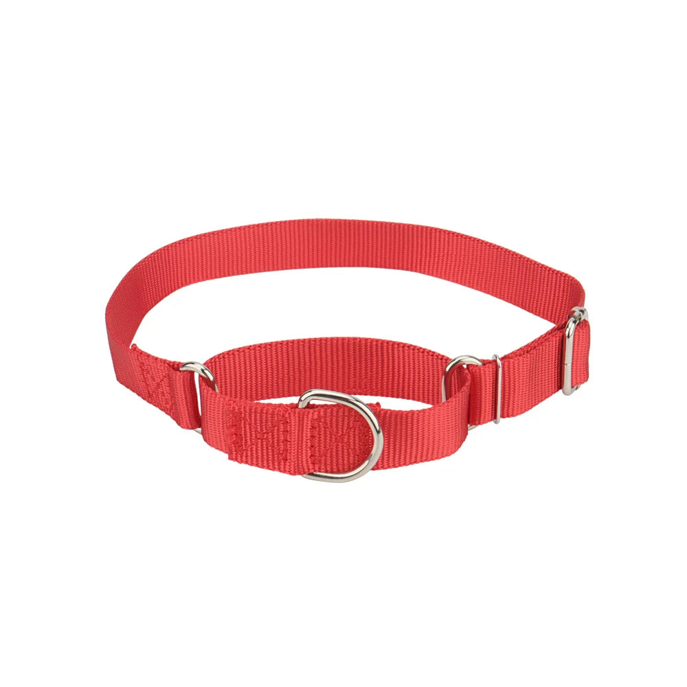 Collier martingale pour chien en nylon rouge présenté sur fond clair.