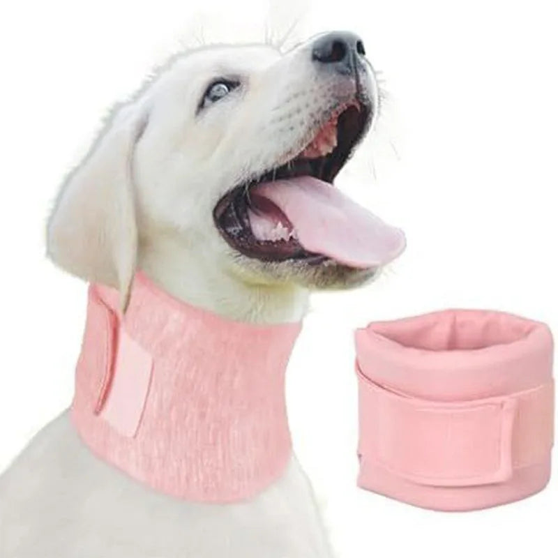 Chien portant un collier médical de maintien du cou rose, avec le modèle seul présenté à côté