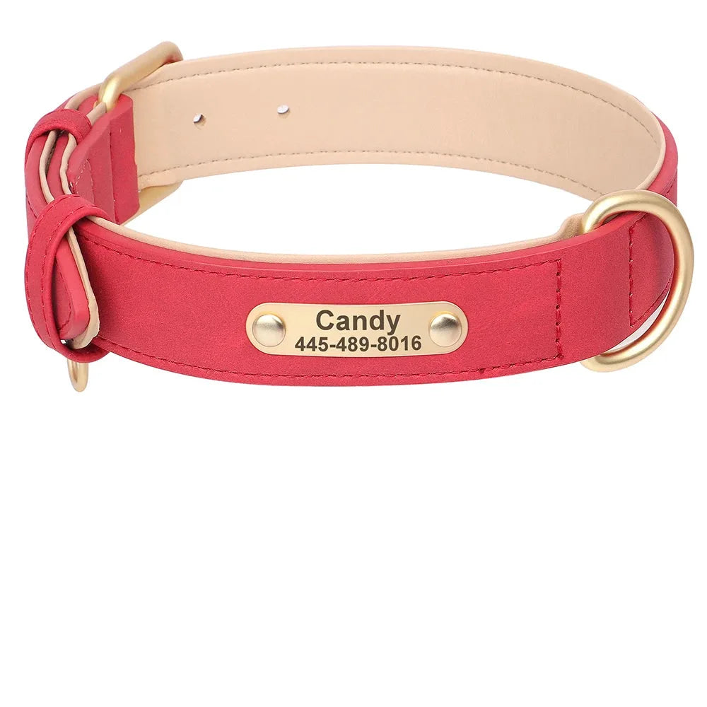 Collier personnalisé rouge corail pour chien en cuir PU avec plaque dorée et guide des tailles S à XL.