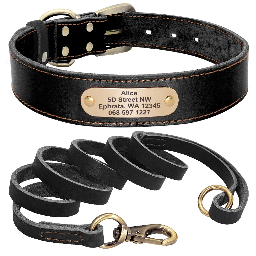 Ensemble collier et laisse pour chien en cuir doux noir avec plaque gravée sur fond blanc.