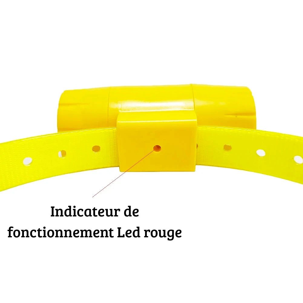 Détail du collier beeper jaune avec voyant LED rouge de visualisation sur fond blanc.