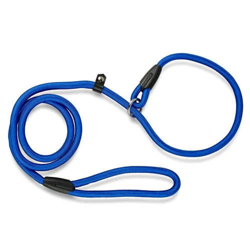Collier en corde bleue avec laisse intégrée pour chien, présenté à plat sur fond clair.