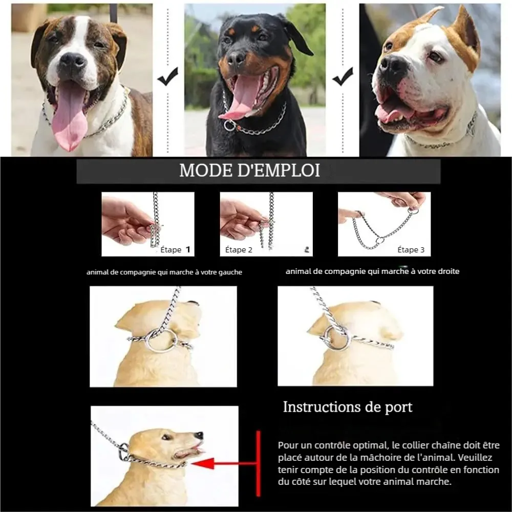 Instructions illustrées pour mettre un collier argenté autour du cou du chien.