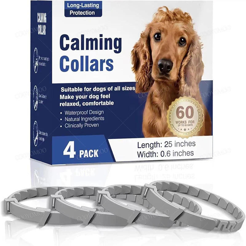 Pack de 4 colliers anti-stress gris pour chien avec boîte produit sur fond clair