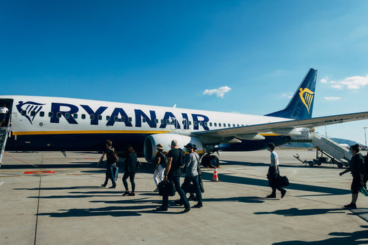 Normes IATA : comment équiper votre chien pour un voyage en soute sans stress