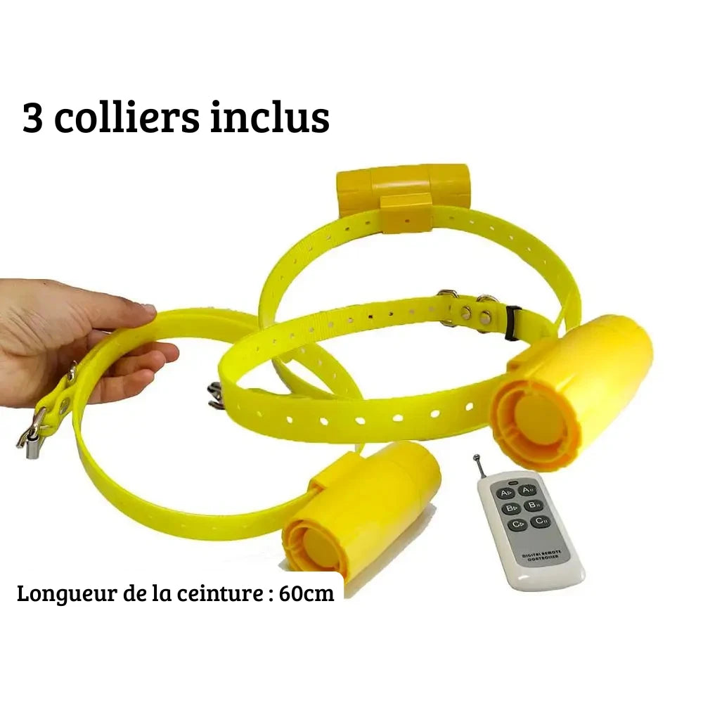 Kit de 3 beepers jaunes pour chiens de chasse avec une télécommande sur fond blanc.
