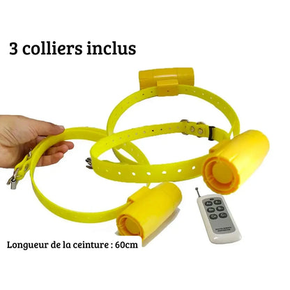 Kit de 3 beepers jaunes pour chiens de chasse avec une télécommande sur fond blanc.