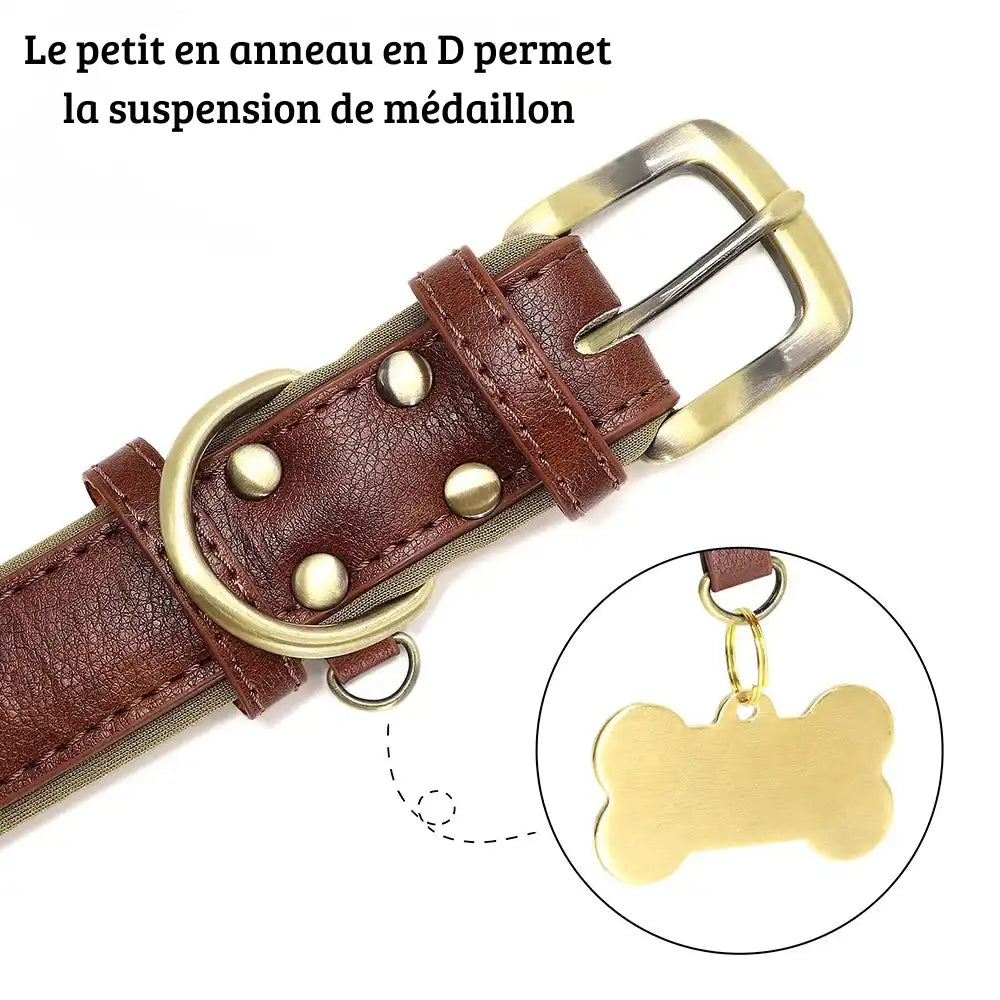 Gros plan sur la boucle métallique et le petit anneau en D d’un collier rose personnalisé pour chien.
