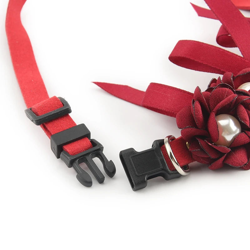 Détails précis de la boucle du collier de cérémonie rouge pour chien