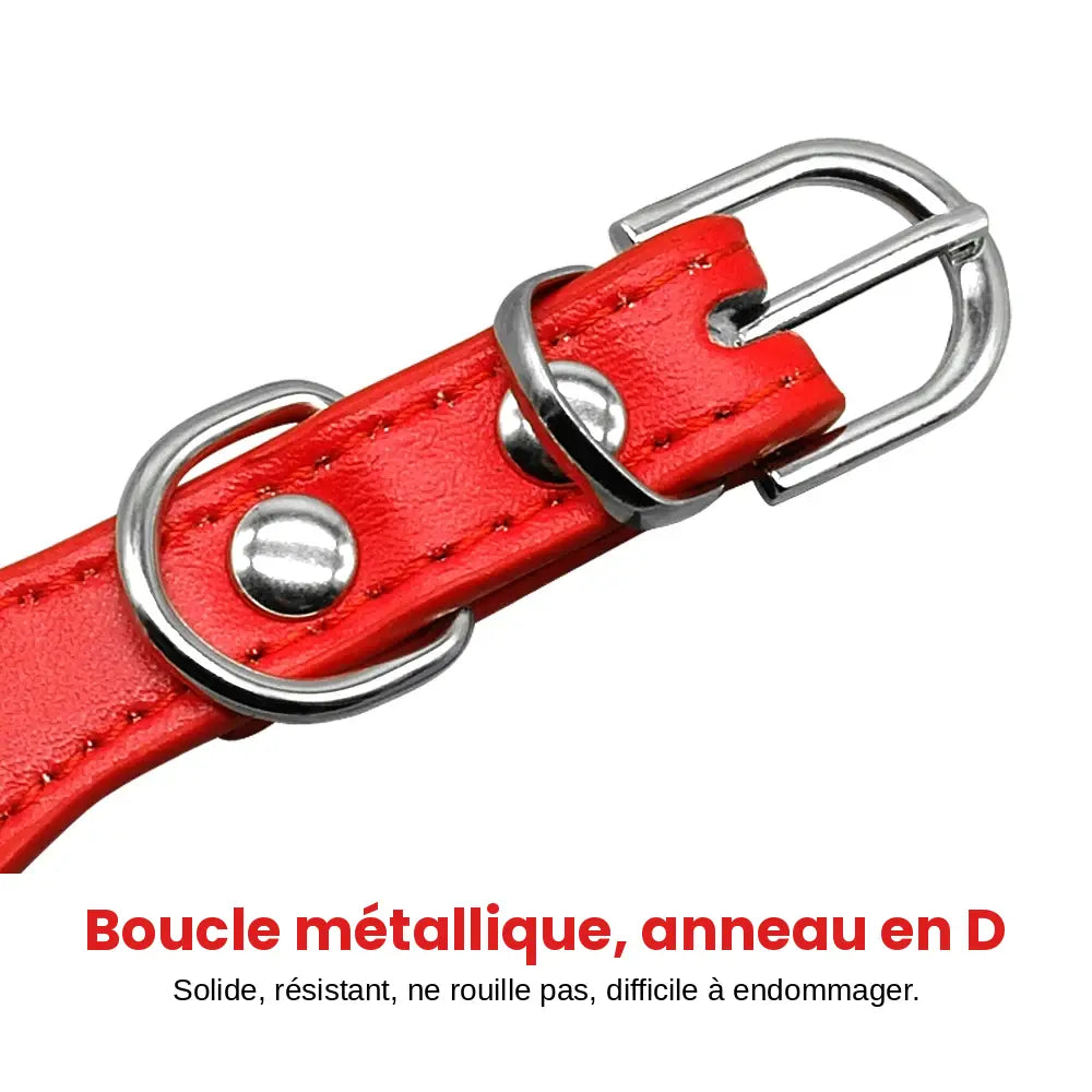 Zoom sur la boucle du collier clouté pour chien en cuir avec multiples petits clous métalliques