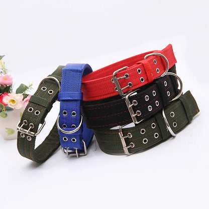 Collection de colliers tactiques larges en plusieurs couleurs pour grand chien.