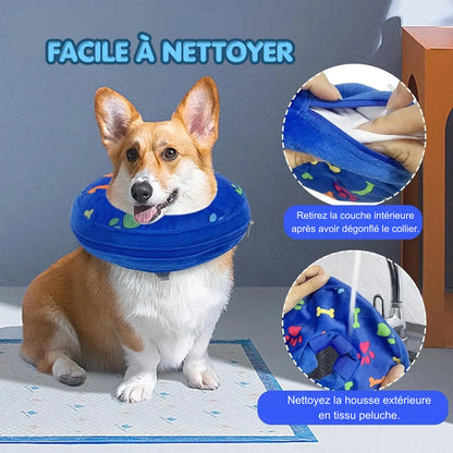 Chien portant un collier lune gonflable bleu avec démonstration de la housse lavable et facile à nettoyer