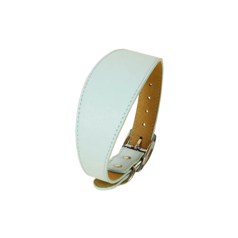 Variante élégante bleu ciel du collier large en cuir pour chien au design épuré
