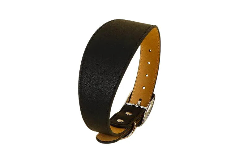 Autre aspect de la variante noire du collier large en cuir pour chien au design épuré