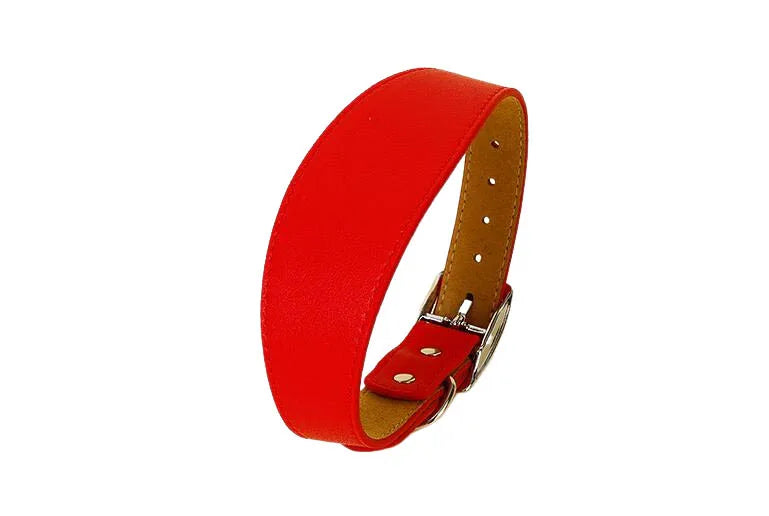 Variante rouge élégante du collier large en cuir pour chien au design épuré