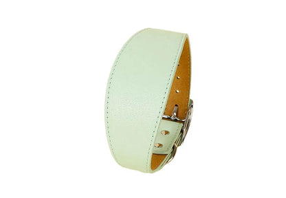 Variante élégante verte du collier large en cuir pour chien au design épuré