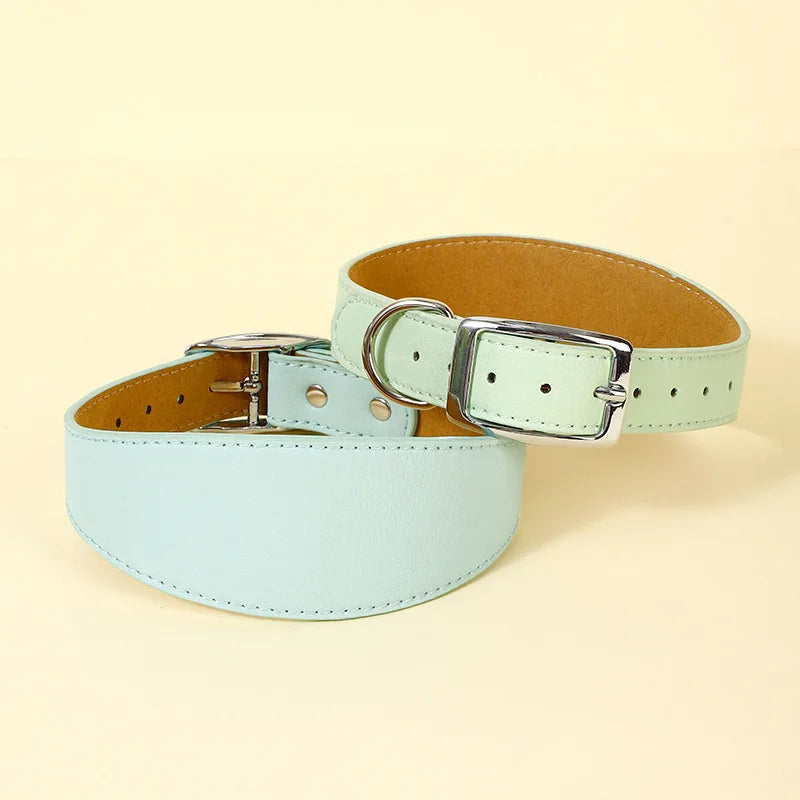 Vue avant et arrière du collier large en cuir pour chien au design épuré