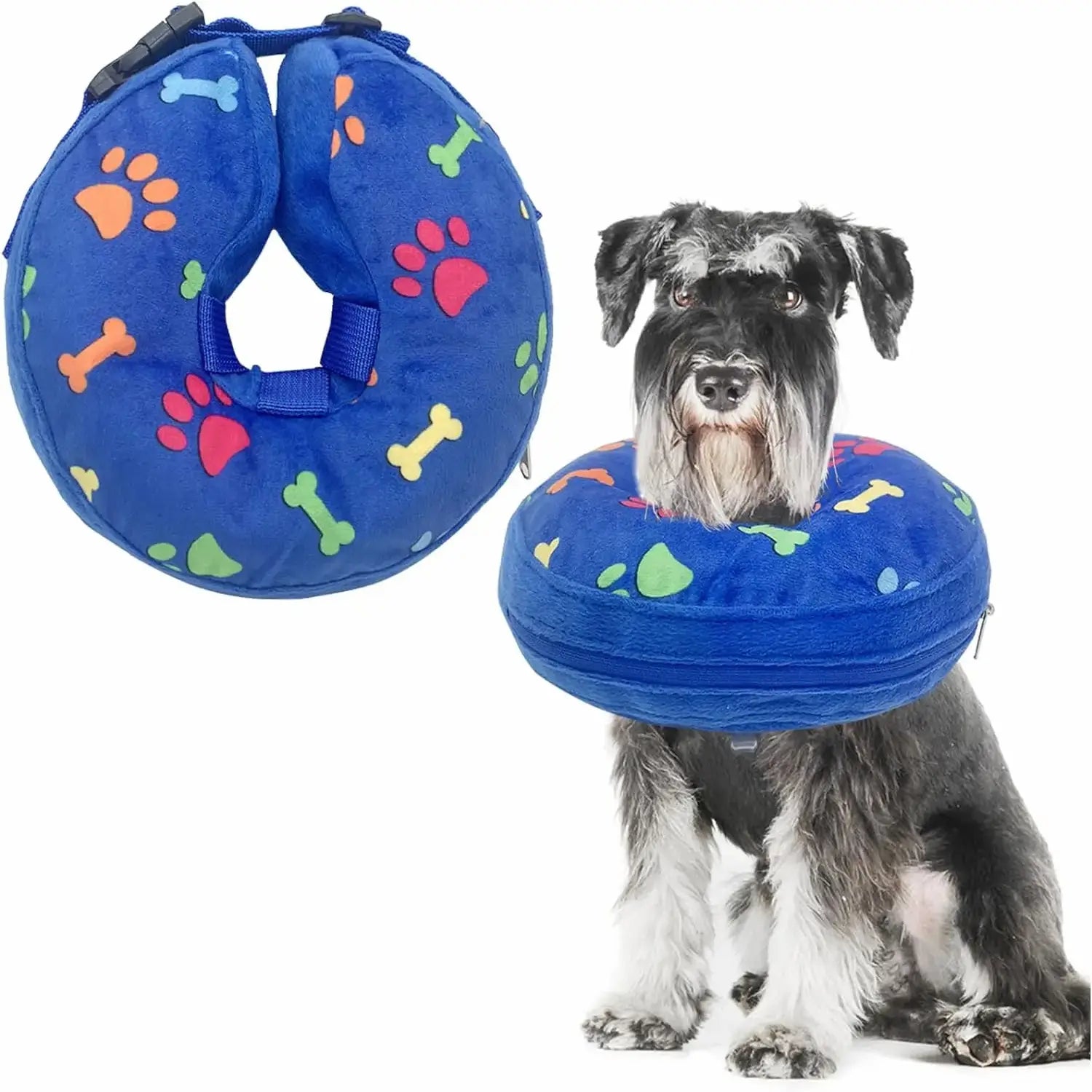 Chien portant un collier lune gonflable bleu avec motifs pattes et os colorés