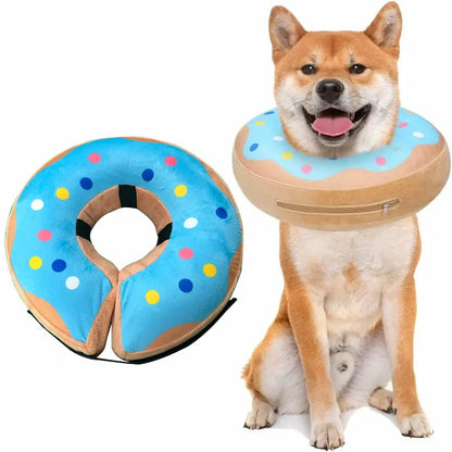 Shiba assis avec collier de récupération gonflable bleu ciel sur fond clair