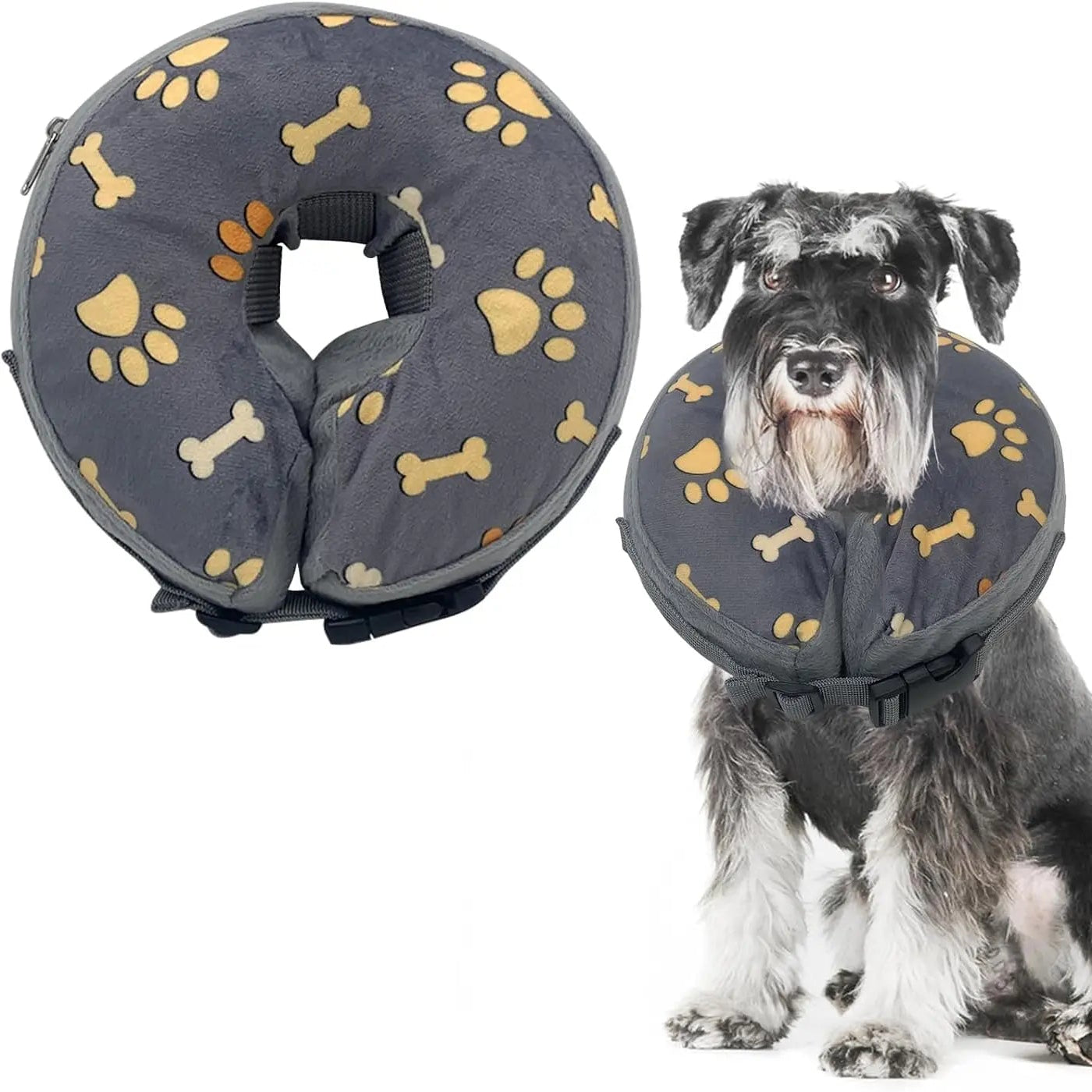 Chien portant un collier lune gonflable gris avec motifs pattes et os