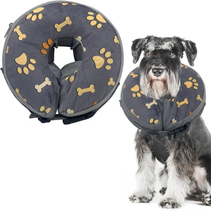 Chien portant un collier lune gonflable gris avec motifs pattes et os