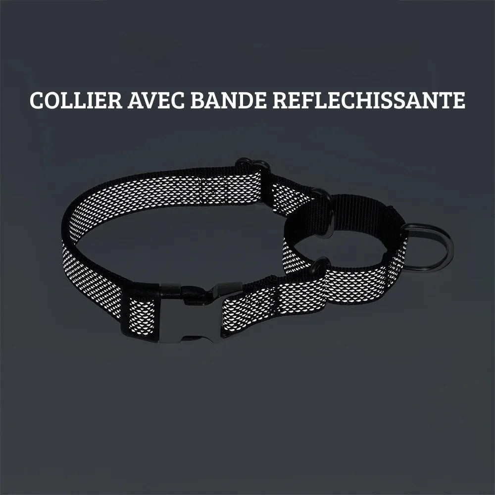 Collier martingale noir réfléchissant pour chien avec effet de visibilité de nuit.