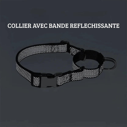 Collier martingale noir réfléchissant pour chien avec effet de visibilité de nuit.
