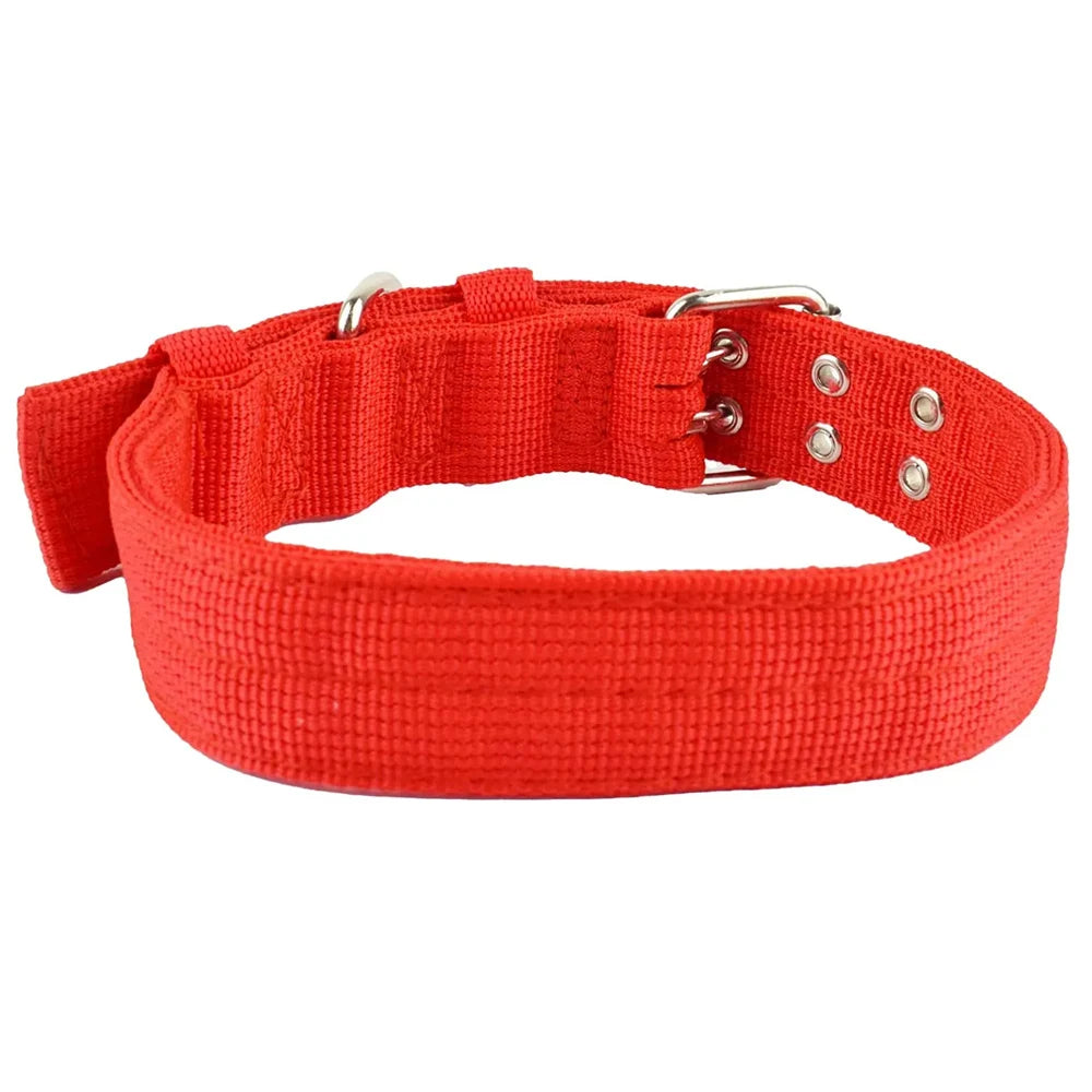 Vue arrière d’un collier tactique large rouge en nylon épais sur fond blanc.