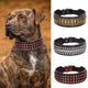 3 colliers cloutés large pour chien en cuir véritable avec plaques métalliques et rivets aux styles différents