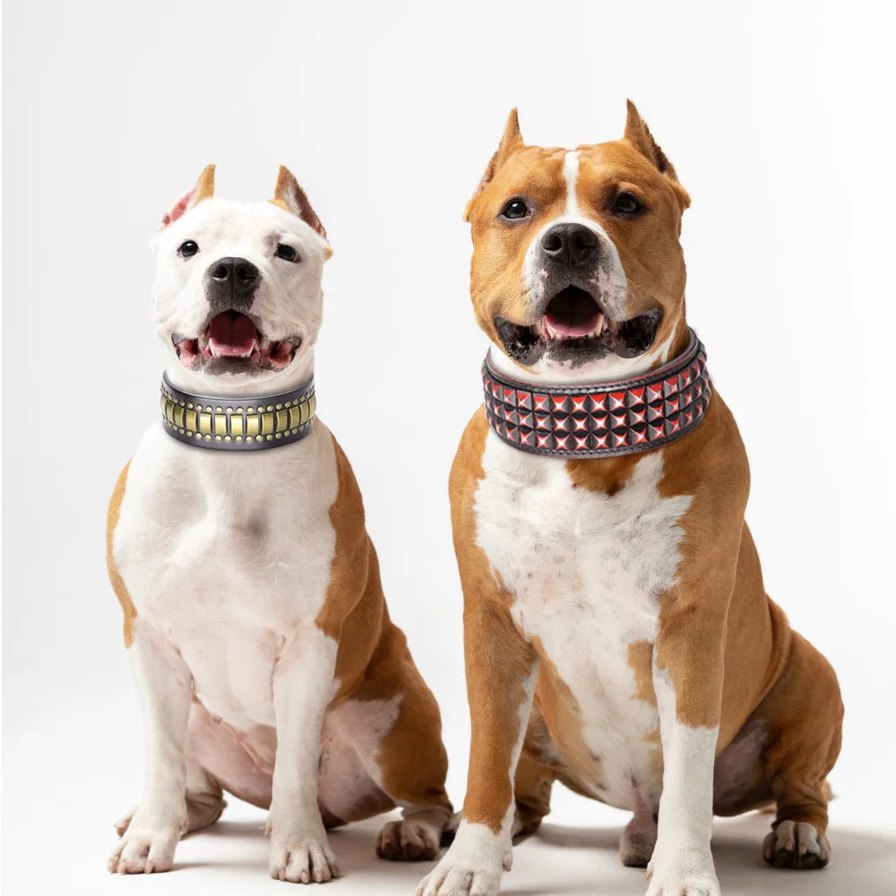 Collier clouté large pour chien en cuir véritable avec plaques métalliques et rivets idéal pour staff ou pitbull