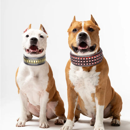 Collier clouté large pour chien en cuir véritable avec plaques métalliques et rivets idéal pour staff ou pitbull