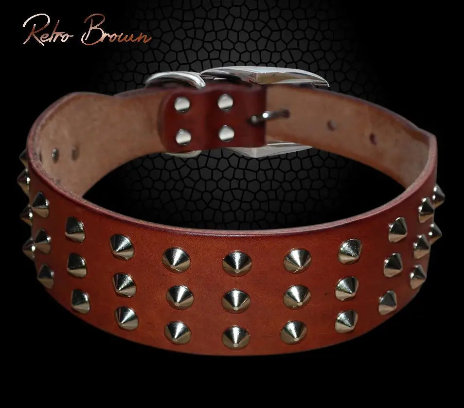 Zoom sur le collier clouté marron classique pour chien en cuir avec rangées de pointes métalliques pour sublimer les sorties avec caractère