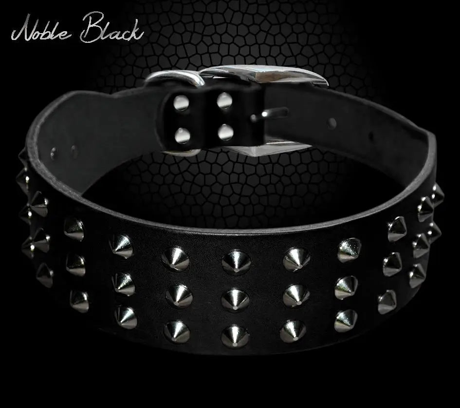 Zoom sur le collier clouté noir classique pour chien en cuir avec rangées de pointes métalliques pour sublimer les sorties avec caractère