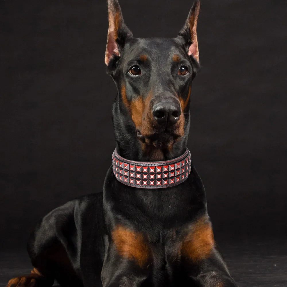 Collier clouté rouge, large pour chien en cuir véritable avec plaques métalliques et rivets idéal pour doberman ou rottweiler