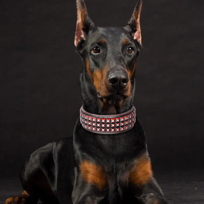Collier clouté rouge, large pour chien en cuir véritable avec plaques métalliques et rivets idéal pour doberman ou rottweiler