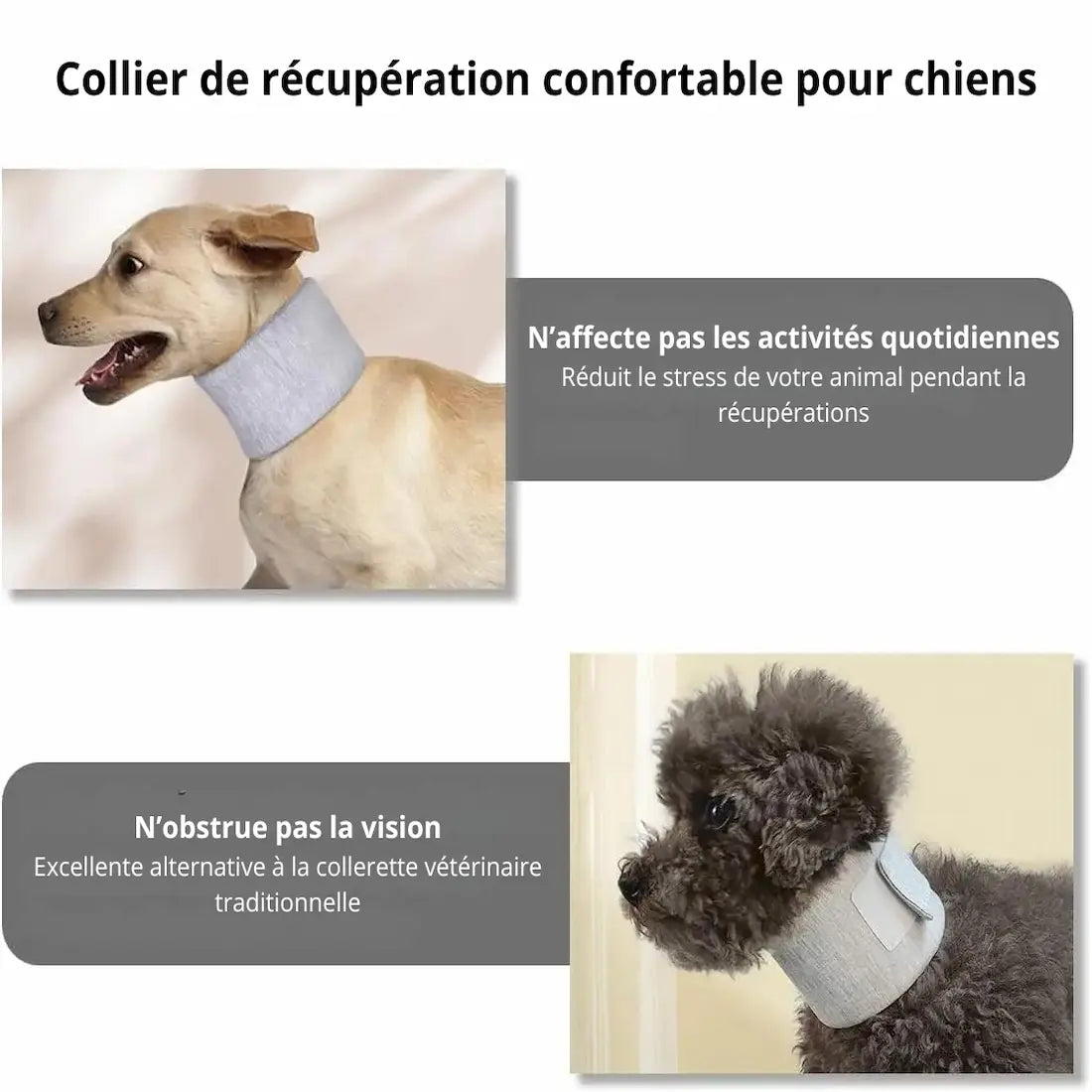 Collier de soutien cervical pour chien présenté comme une alternative confortable à la collerette