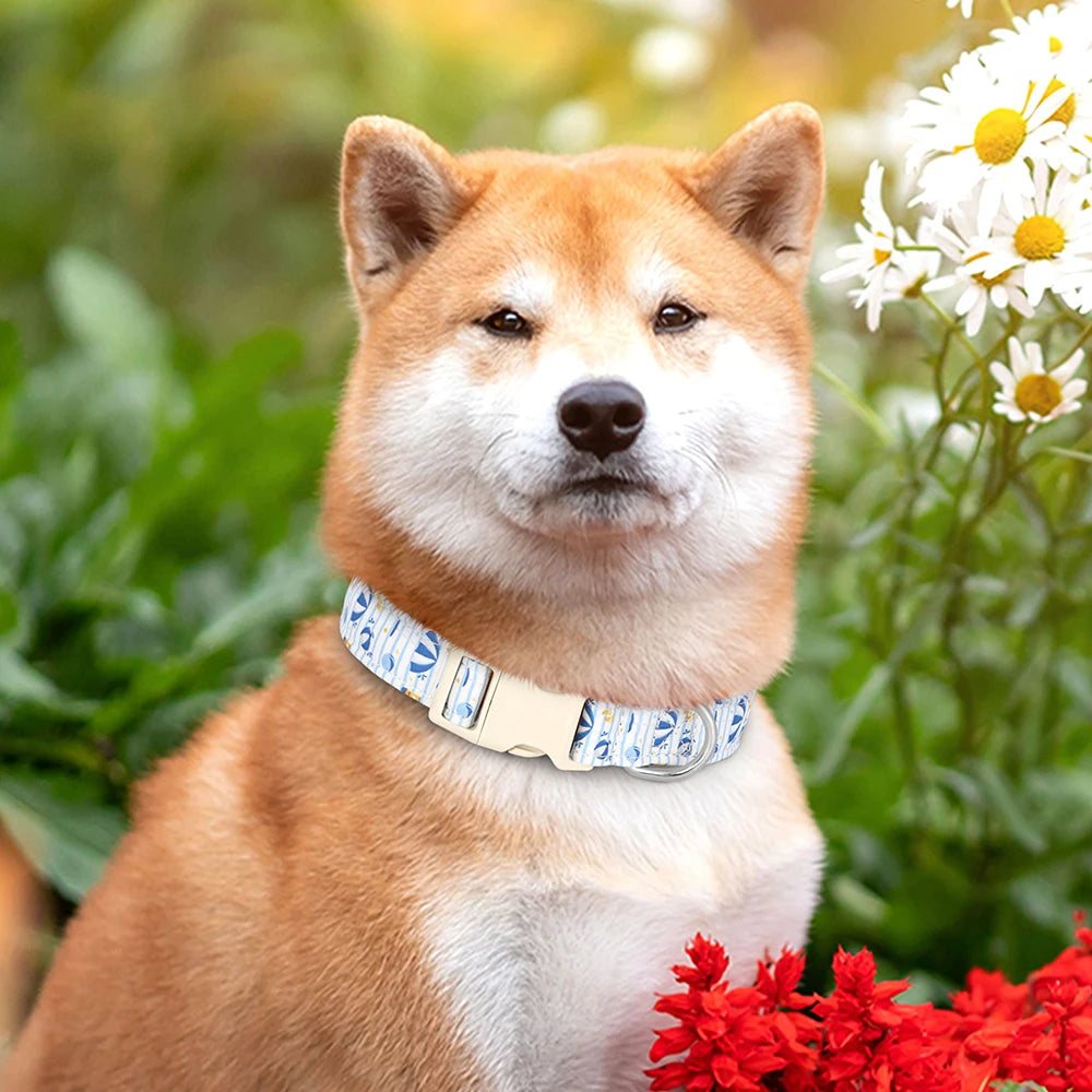 Sublimez votre chien avec le collier bleu en nylon imprimé aux superbes motifs