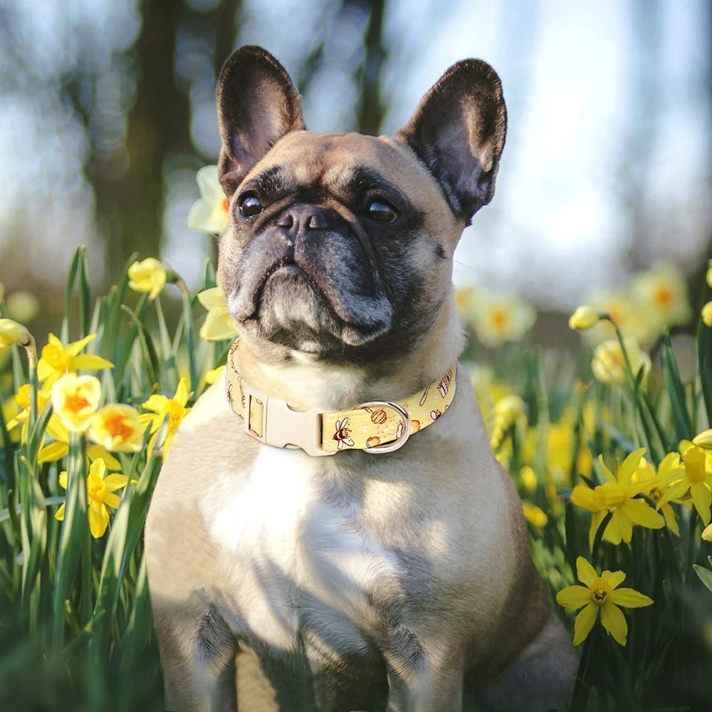 Sublimez votre chien avec le collier jaune en nylon imprimé aux superbes motifs