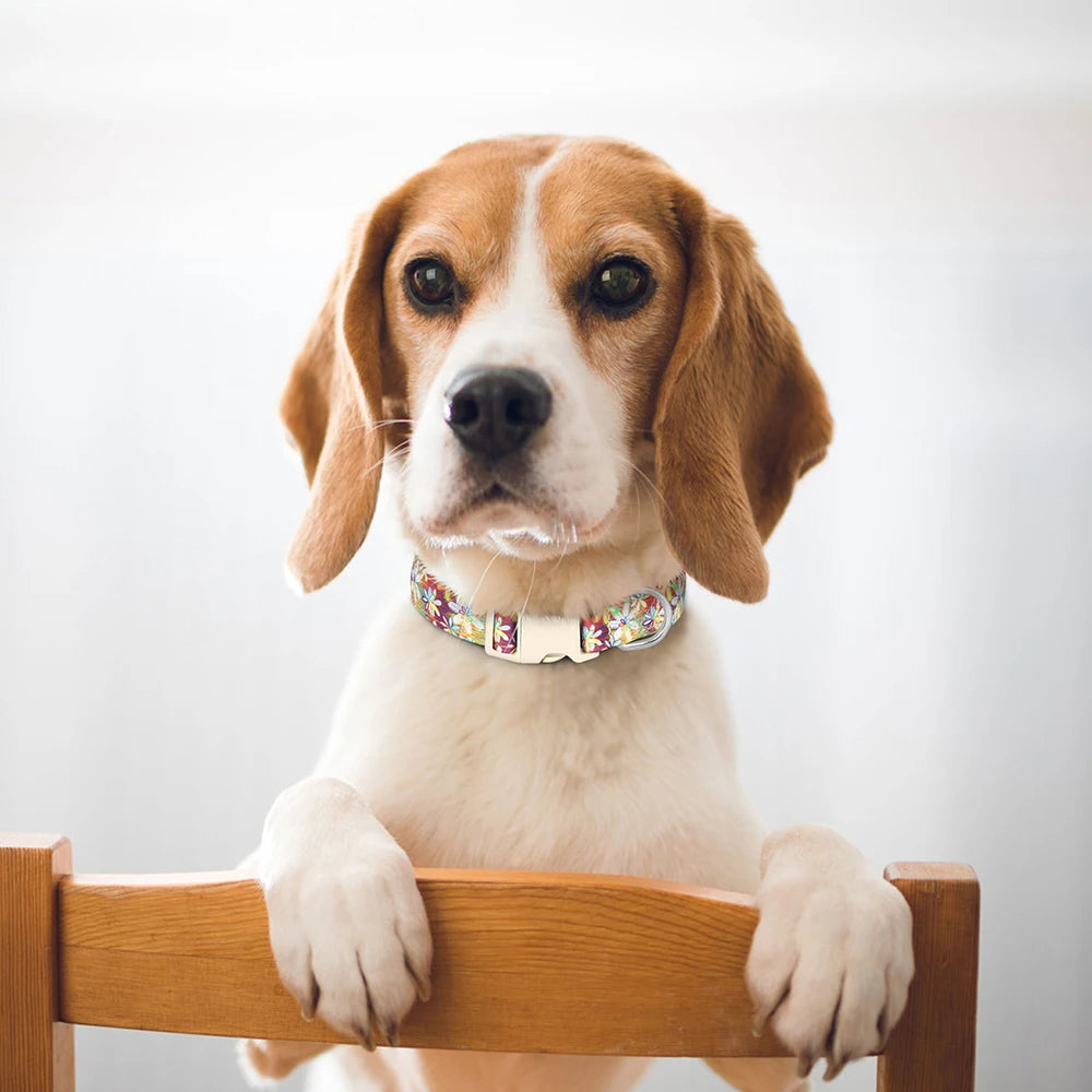 Sublimez votre chien avec le collier rouge , fleuri en nylon imprimé aux superbes motifs