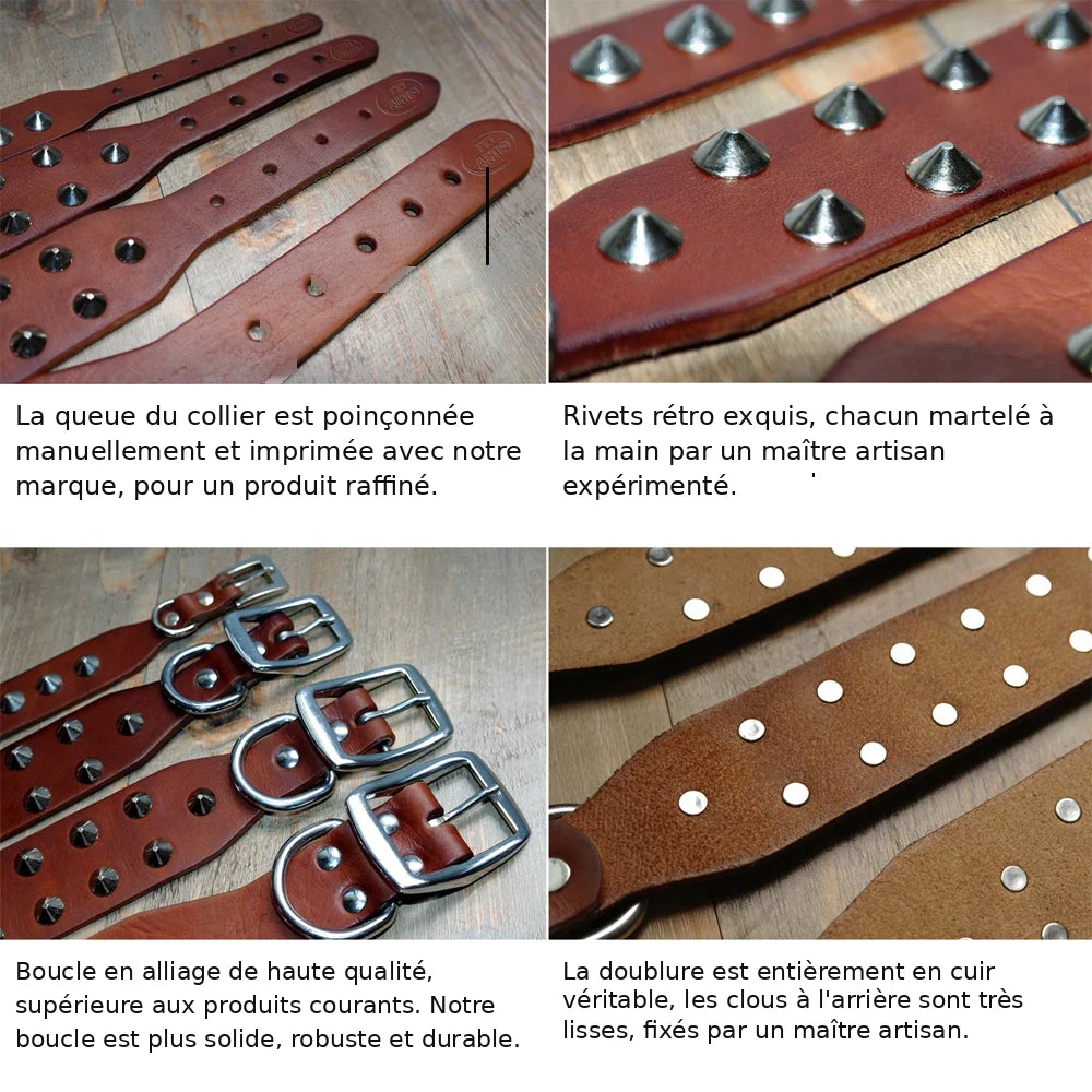 zoom sur les détails du collier clouté pour chien , qui souligne la qualité des matériaux utilisés 