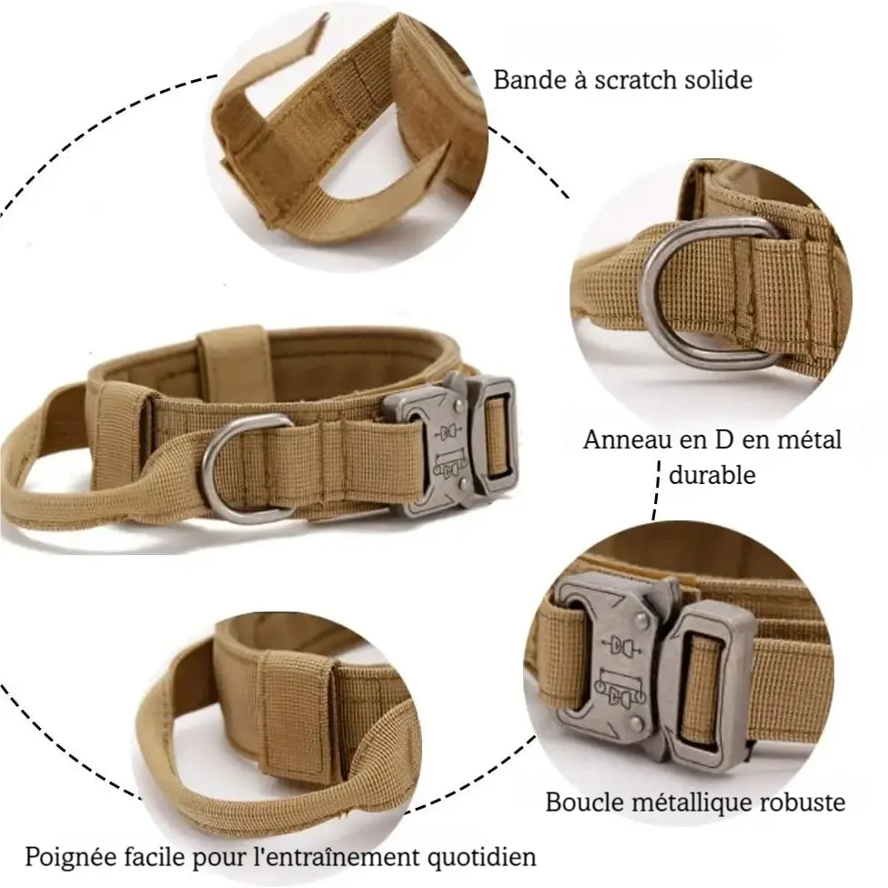 Visuel détaillé du collier tactique beige avec poignée, anneau en D, velcro et boucle métal.